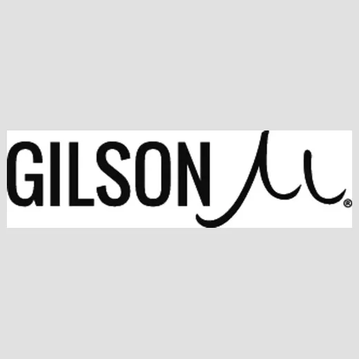 Gilson Snowboards brand logo for gilsonsnow.com