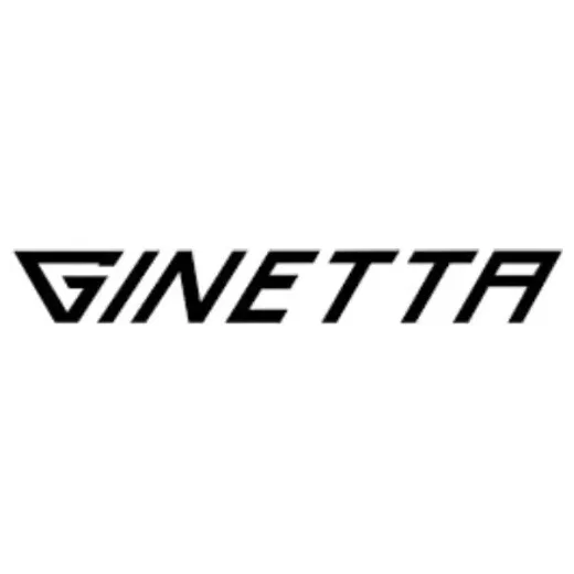 Ginetta brand logo for ginetta.com