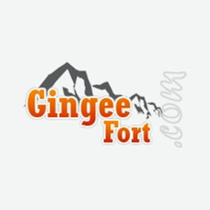 gingeefort brand logo for gingeefort.com