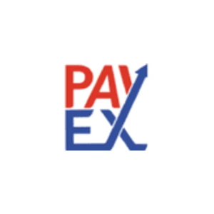 Global Payex brand logo for globalpayex.com