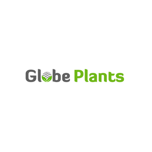 Globe Plants brand logo for globeplants.com