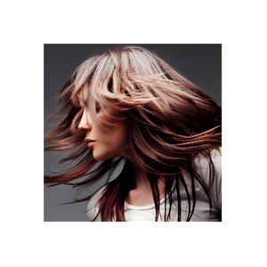 Gloss Hair Salon brand logo for glosshairsalon.la