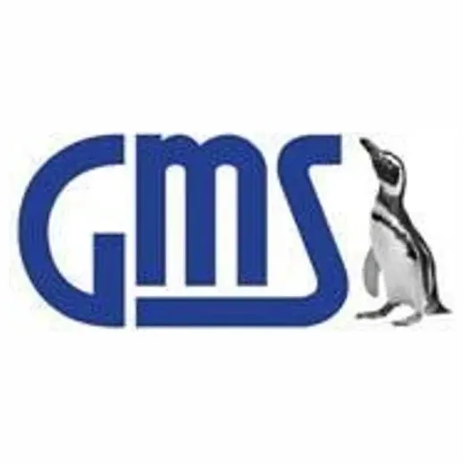 GMS Accounting brand logo for gmsactg.com