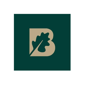 Go Banya brand logo for gobanya.co.uk