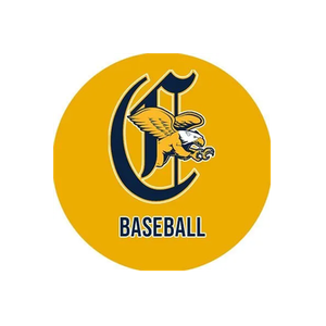 Go Griffs brand logo for gogriffs.com