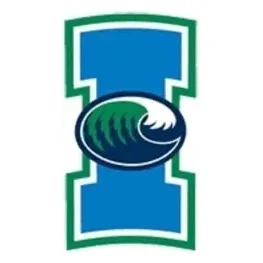Go Islanders brand logo for goislanders.com