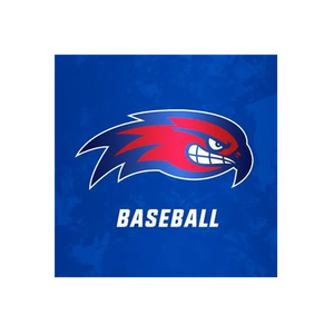 Go Riverhawks brand logo for goriverhawks.com
