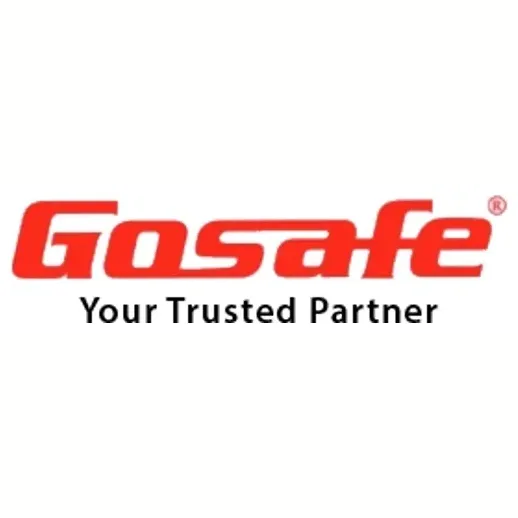 Go Safe System brand logo for gosafesystem.com