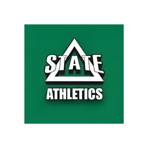 Go Statesmen brand logo for gostatesmen.com
