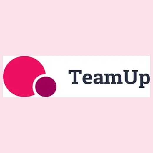 Go Team Up brand logo for goteamup.com