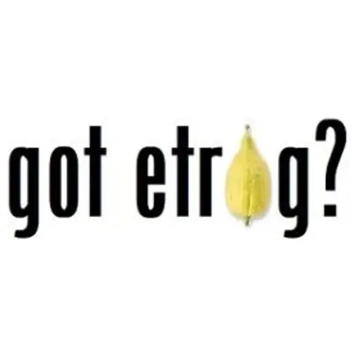 Go Tetrog brand logo for gotetrog.com
