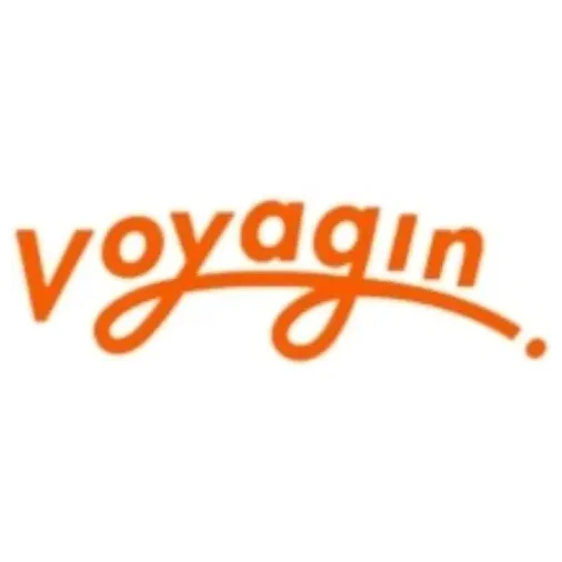 Go Voyagin brand logo for govoyagin.com
