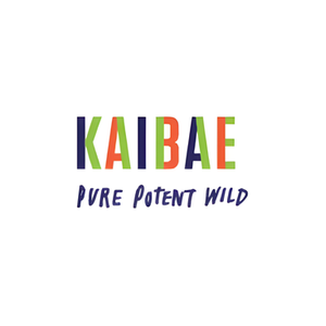 Gokaibae brand logo for gokaibae.com