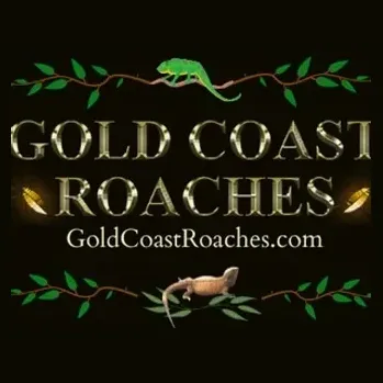 Gold Coast Roaches brand logo for goldcoastroaches.com