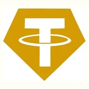 Tether brand logo for gold.tether.to