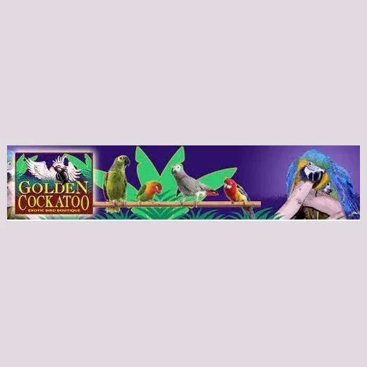 Golden Cockatoo brand logo for goldencockatoo.com