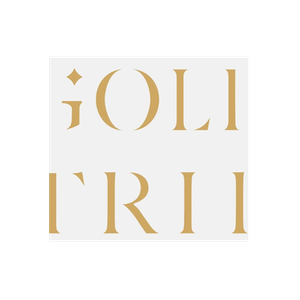Goldtrip brand logo for goldtrip.co