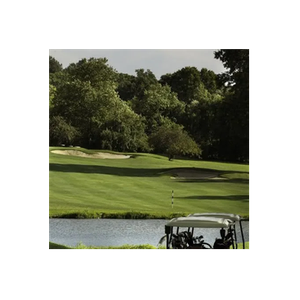 Golf NYC brand logo for golfnyc.com