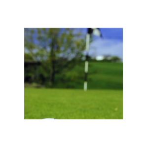 Golf Rolling Green brand logo for golfrollinggreen.com