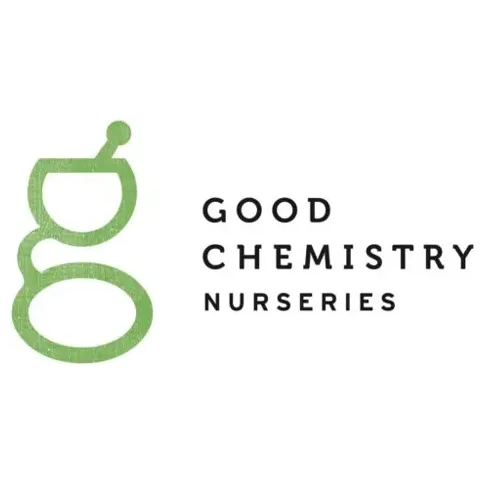 Good Chemistry brand logo for good-chemistry.com