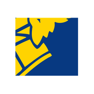 Goodyear Footwear brand logo for goodyearfootwearusa.com