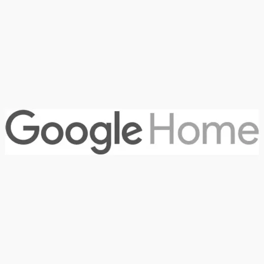 Google Home brand logo for home.google.com