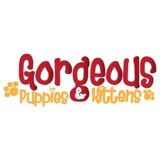 Gorgeous Puppies and Kittens brand logo for gorgeouspuppiesandkittens.com