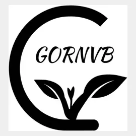 gornvbshop brand logo for gornvbshop.com