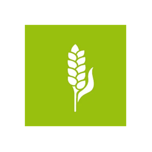 Graintec brand logo for graintec.com.au