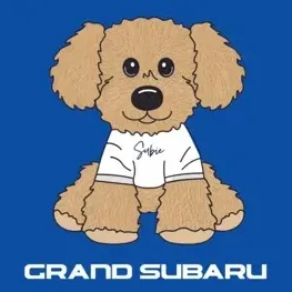 Grand Subaru brand logo for grandsubaru.com