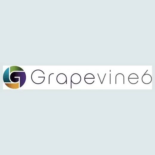 Grapevine6 brand logo for grapevine6.com