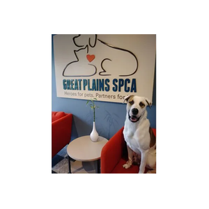 Great Plains SPCA brand logo for greatplainsspca.org