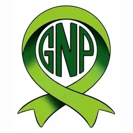 Green Network Providers brand logo for greennetworkproviders.com