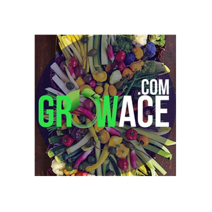 GrowAce brand logo for growace.com