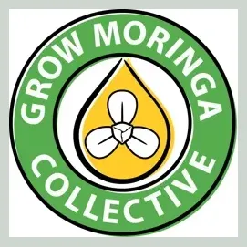 growmoringa brand logo for growmoringa.com