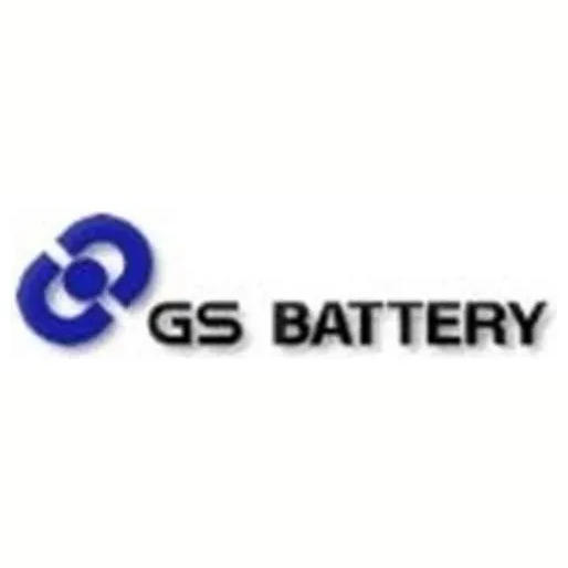 GS Battery brand logo for gsbattery.com