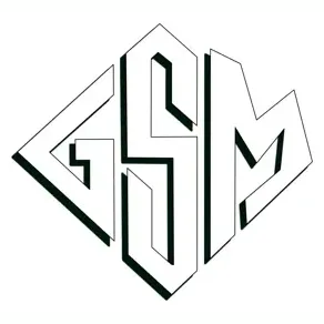 GS Mixed Media brand logo for gsmixedmedia.store