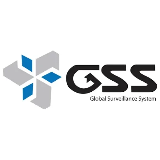 gssdvr brand logo for gssdvr.com