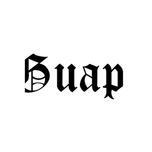 GUAPI brand logo for guapi.ch