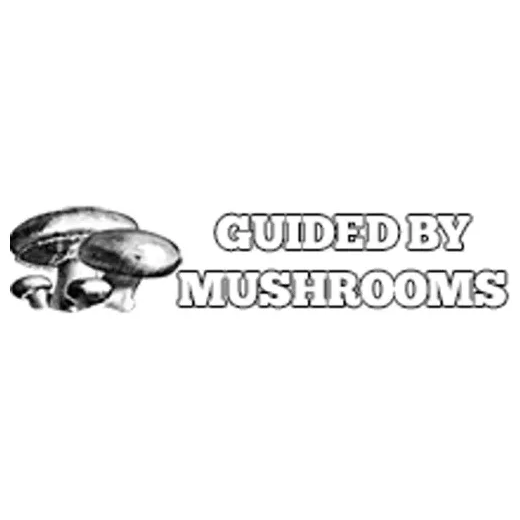 Guided by Mushrooms brand logo for guidedbymushrooms.com