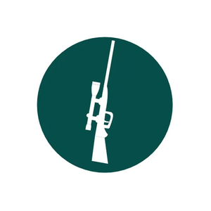 Gun Cabinets Online brand logo for guncabinetsonline.co.uk