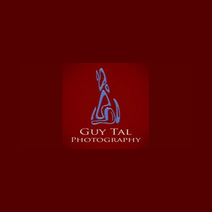 Guy Tal brand logo for guytal.com