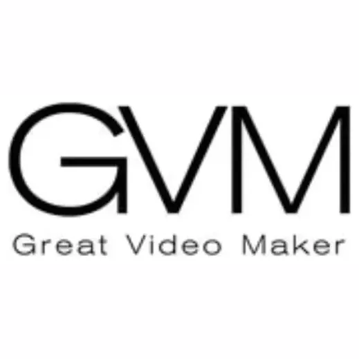 GVM brand logo for gvmled.com