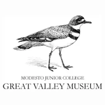 Square brand logo for gvmatmjc.square.site