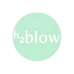 H2Blow brand logo for h2blowdrybar.com