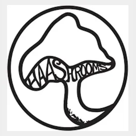 Haa Shrooms brand logo for haashrooms.com