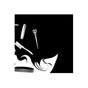 Hair Art Studio brand logo for hairartstudio.co.uk