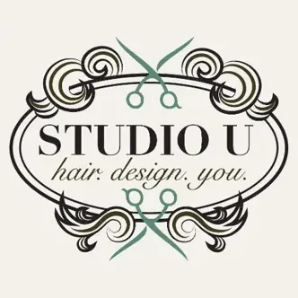 Hair Design brand logo for hairdesignu.com