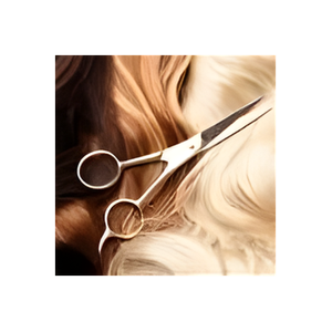Hair Essence brand logo for hairessencedesign.com