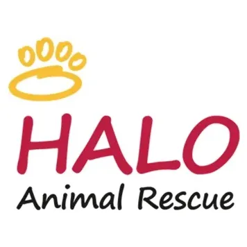 HALO Animal Rescue brand logo for halorescue.org